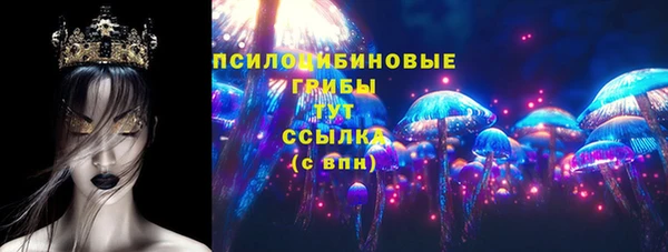 ГАЛЛЮЦИНОГЕННЫЕ ГРИБЫ Алексеевка