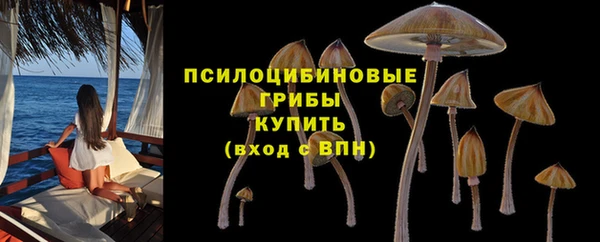 ГАЛЛЮЦИНОГЕННЫЕ ГРИБЫ Алексеевка
