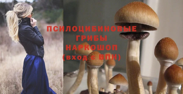 прущая мука Алзамай